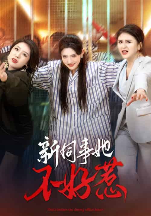 新同事她不好惹（37集全）常丹丹＆钟莹玲-初遇资源网