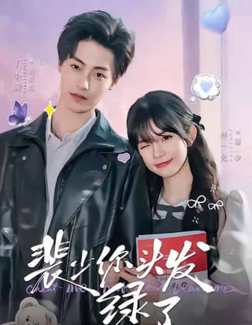 裴少你头发绿了(80集全)丁小满&林一允-初遇资源网