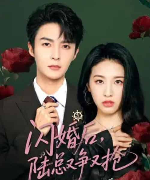 闪婚后陆总又争又抢（83集）管栎＆杜雨宸-初遇资源网