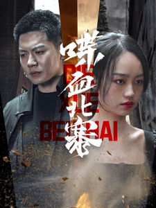 喋血北寨（90集）-初遇资源网