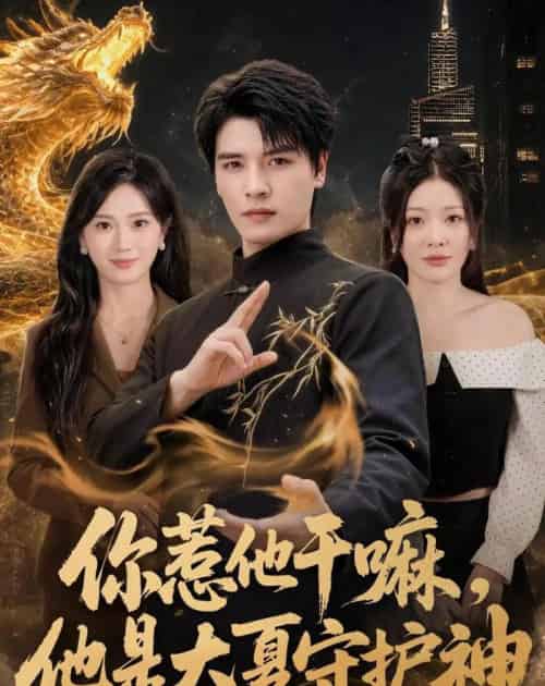 你惹他干嘛，他是大夏守护神（78集全）李彬航＆林初 - 夸克短剧
