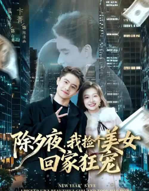除夕夜,我捡个美女回家狂宠(80集全)翟兆星&卞菁-初遇资源网