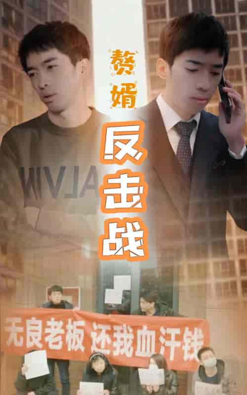 赘婿反击战-100集-初遇资源网