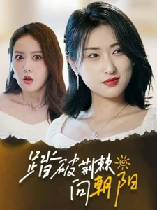 踏破荆棘向朝阳(80集全)-初遇资源网