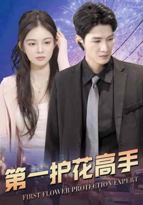 第一护花高手（100集全）林啸天＆程新月-初遇资源网