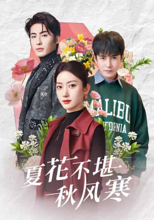 夏花不堪秋风寒（79集全）张玉娇＆李子峰-初遇资源网