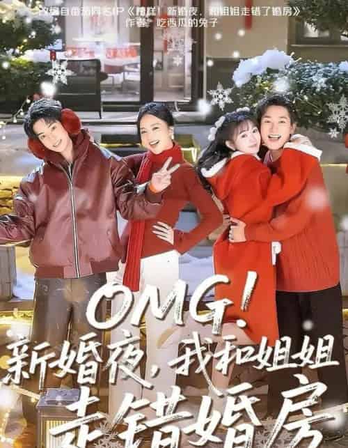 OMG！新婚夜，我和姐姐走错婚房（100集全）张旋＆查祎琛＆夏玄子-初遇资源网