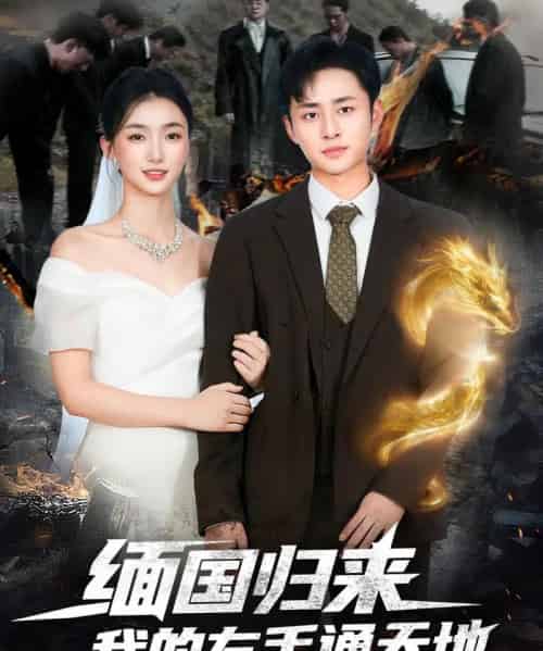 缅国归来我的左手通天地(97集全)卢艺煊&董秋怡-初遇资源网