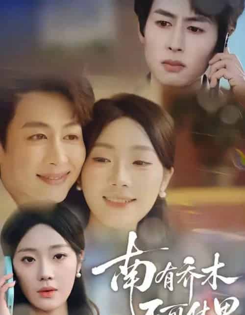 南有乔木，不可休思（68集全）邢航铭＆孔祥东-初遇资源网