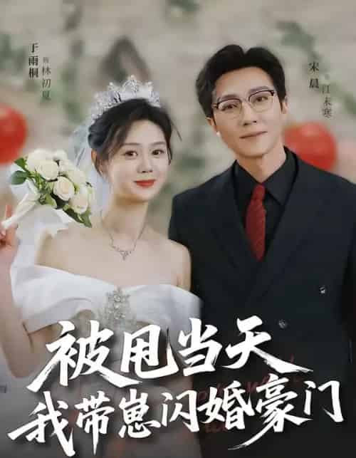 被甩当天我带崽闪婚豪门（70集全）宋晨＆于雨桐-初遇资源网