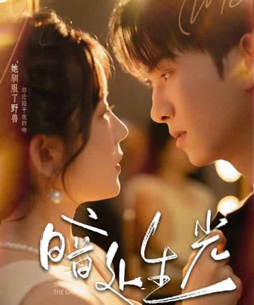 暗处生光 暗处生光