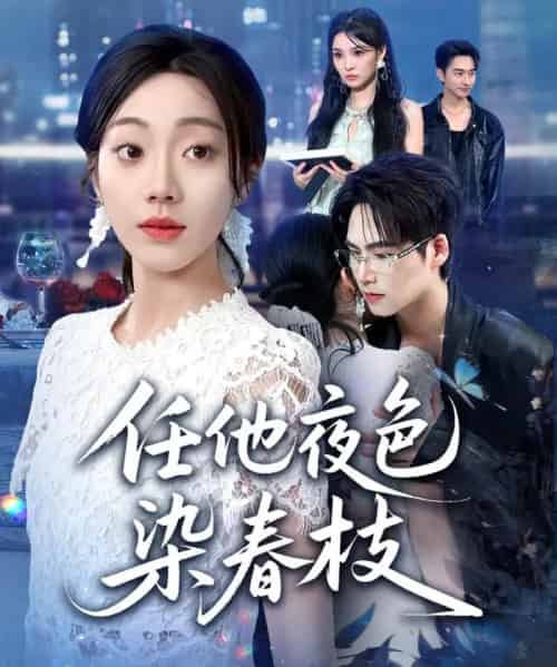 任他夜色染春枝(60集全)铭汐&于颢鑫&陈含-初遇资源网