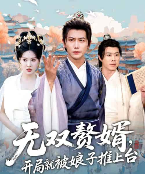 无双赘婿开局就被娘子推上台(80集)-初遇资源网