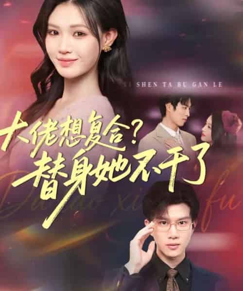 大佬想复合？替身她不干了＆大佬想复合替身她不干了（48集全）赵赫为＆丁紫嫣-初遇资源网