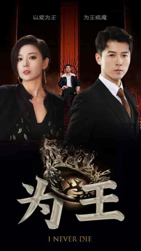 为王(95集)-初遇资源网