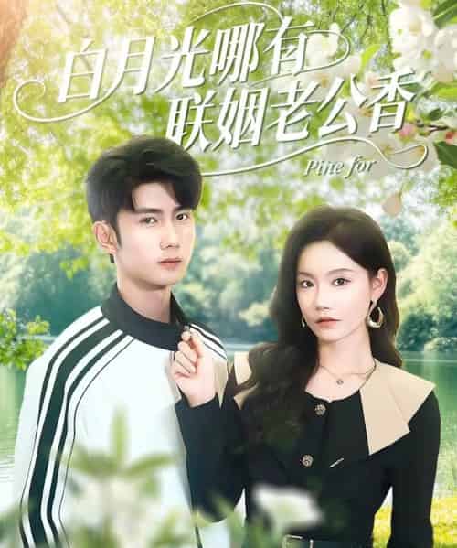 白月光哪有联姻老公香(120集全)唐治璇&张诗媛-初遇资源网