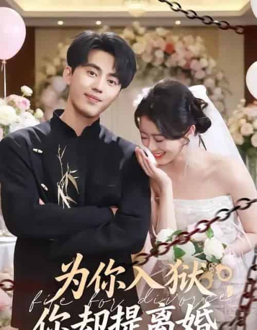 为你入狱,你却提离婚(82集全)徐小浠&王言睿-初遇资源网