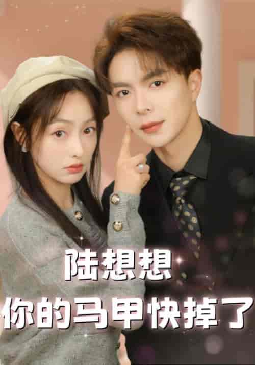 陆想想你的马甲快掉了（86集全）沈修宴＆陆想想-初遇资源网