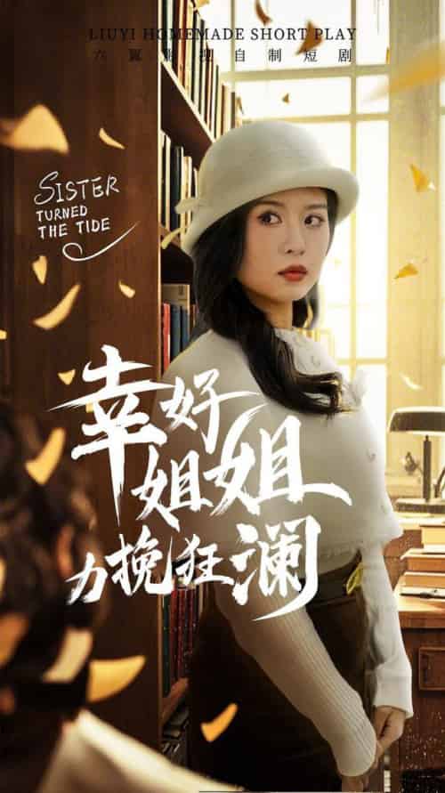 幸好姐姐力挽狂澜（66集全）刘惠敏-初遇资源网