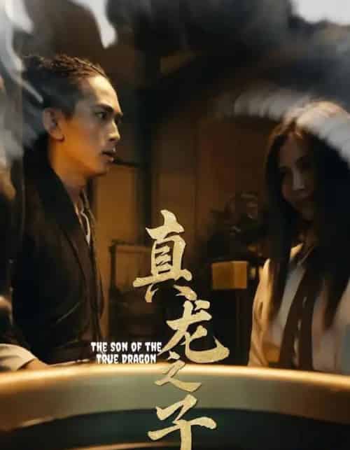真龙之子＆灵途＆龙娘（20集全）-初遇资源网