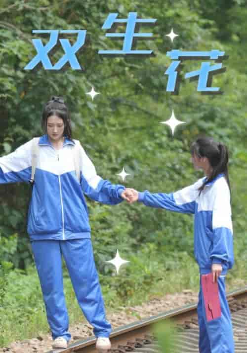 双生花需改名(36集全)王凯&陈北月-初遇资源网