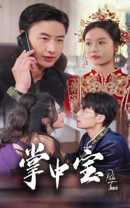 掌中宝（31集全）-初遇资源网