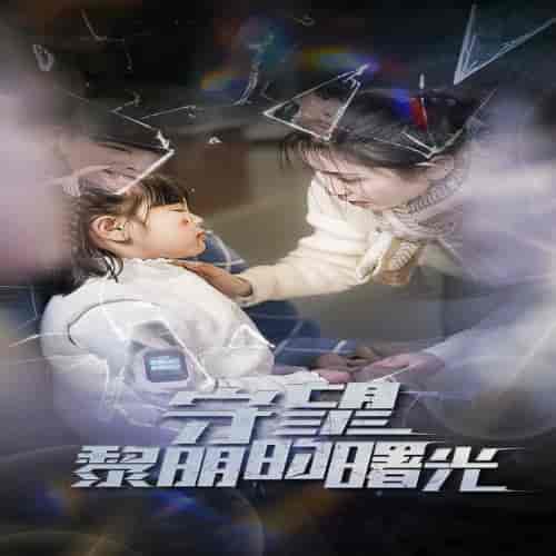 守望黎明的曙光（45集全）-初遇资源网