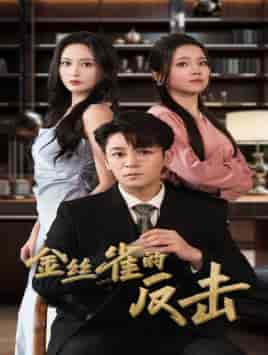 金丝雀的反击（33集）馨方-初遇资源网