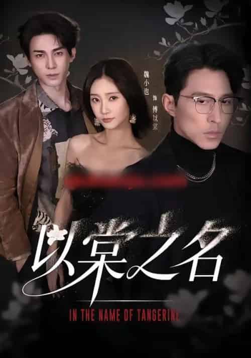 以棠之名（66集全）魏小也＆冯文栋-初遇资源网