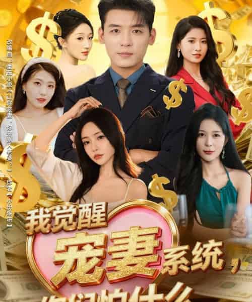 我觉醒宠妻系统，你们怕什么（83集全）李源＆苏凝-初遇资源网