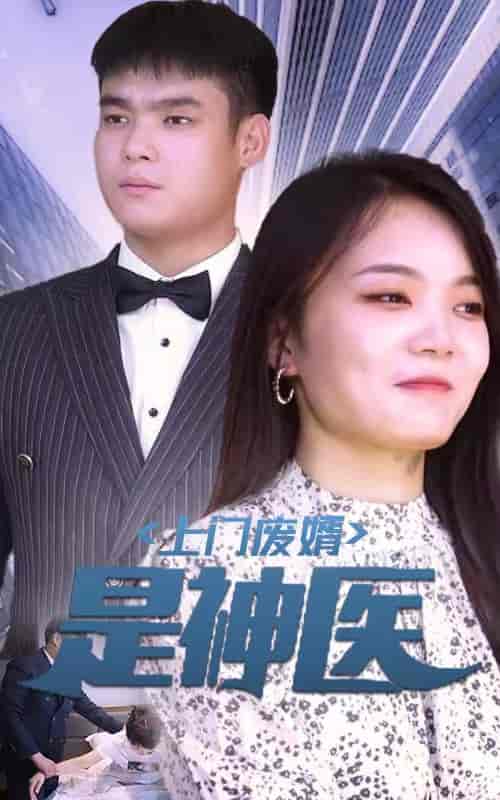 上门废婿是神医（80集）-初遇资源网
