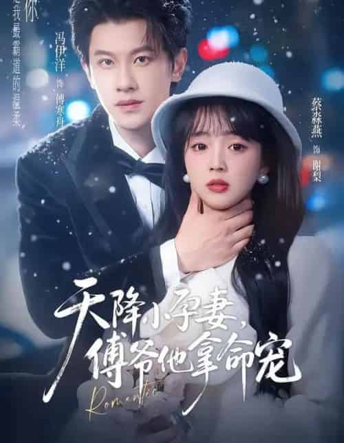 天降小孕妻,傅爷他拿命宠(76集全)冯伊洋&蔡淼燕-初遇资源网