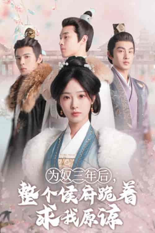 为奴三年后，整个侯府跪着求我原谅（68集全）陆元-初遇资源网