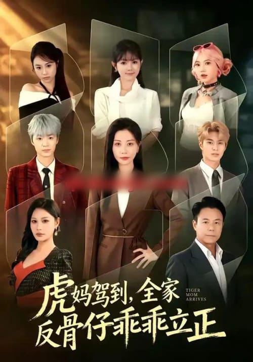 虎妈驾到，全家反骨仔乖乖立正（72集全）胡春源＆刘清心-初遇资源网