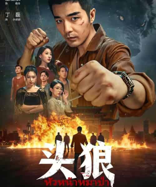 头狼(77集全)丁磊&董星辰-初遇资源网