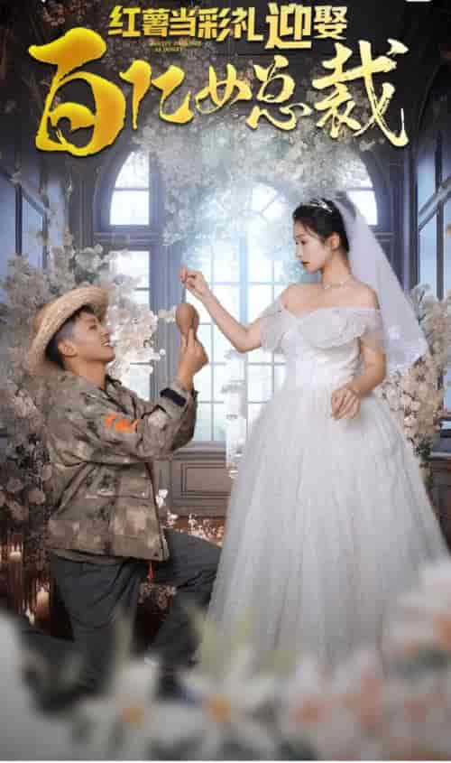 红薯当彩礼，迎娶百亿女总裁＆我把红薯卖了十个亿（90集）-初遇资源网