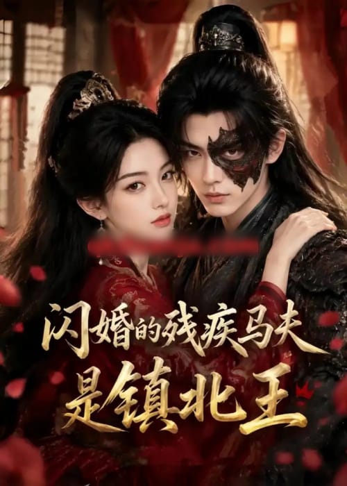 闪婚的残疾马夫是镇北王 闪婚的残疾马夫是镇北王