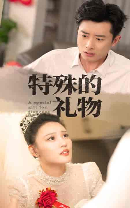 特殊的礼物（35集全）-初遇资源网