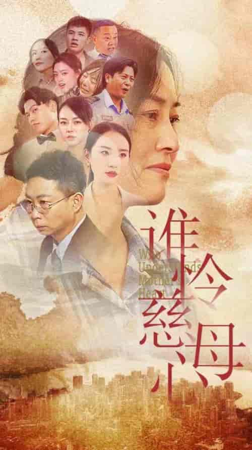 谁怜慈母心（46集全）-初遇资源网