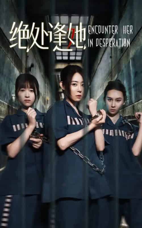 绝处逢她(47集)辰鑫&千婵-初遇资源网