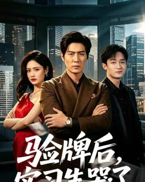验牌后,实习生哭了(51集全)张凡&邹雅涵-初遇资源网