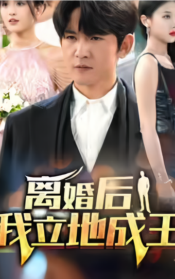 离婚后我立地成王(90集)-初遇资源网