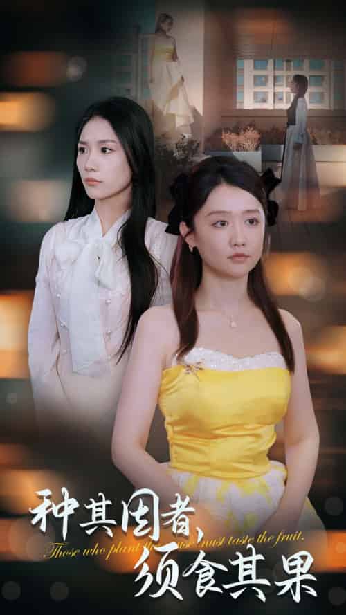 种其因者须食其果(45集全)欧阳千然&毛娜-初遇资源网