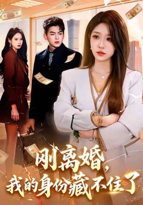刚离婚，我的身份藏不住了（100集全）朱佳琪＆天养-初遇资源网