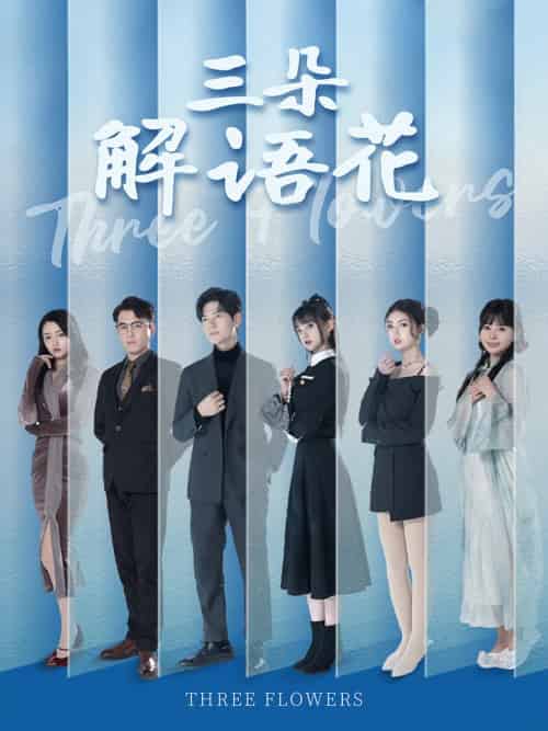 三朵解语花(92集全)邵迪&梦娜&卢巧-初遇资源网