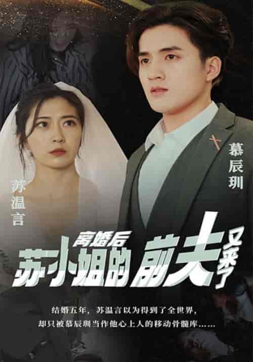 离婚后，苏小姐的前夫又来了（98集全）幕辰玔＆苏温言-初遇资源网