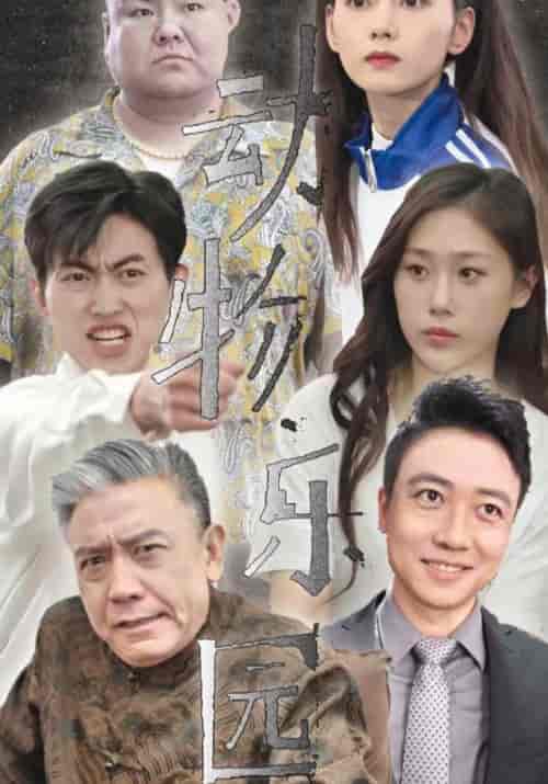 动物乐园（57集全）黎肖＆哲哲-初遇资源网