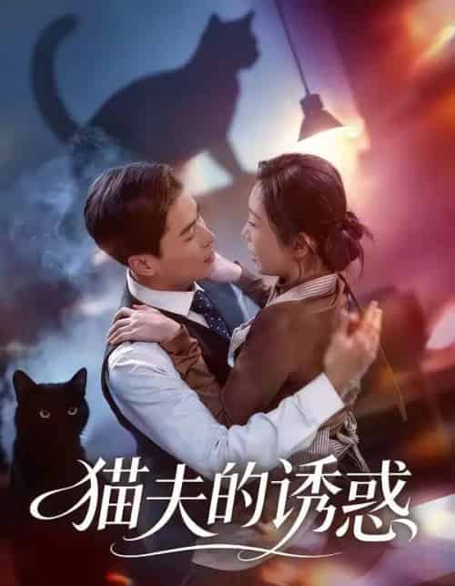 猫夫的诱惑（52集全）朱鹏＆陈安琪-初遇资源网
