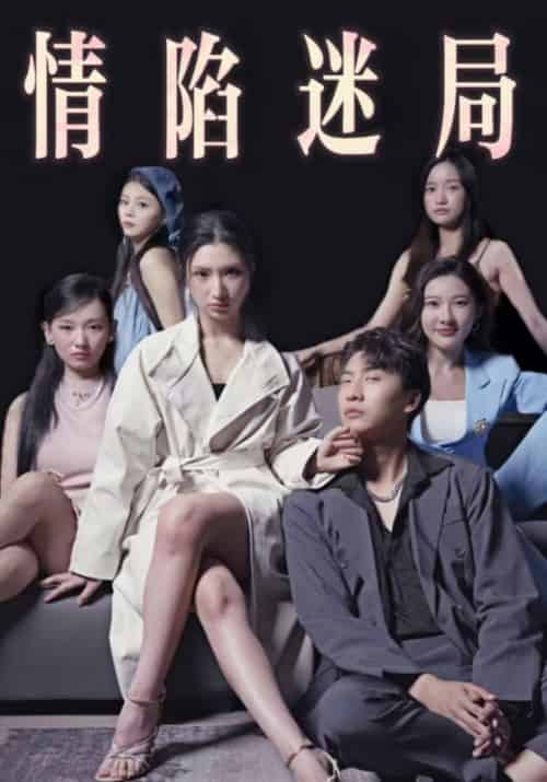 情陷迷局(38集全)付辛&魏莱-初遇资源网