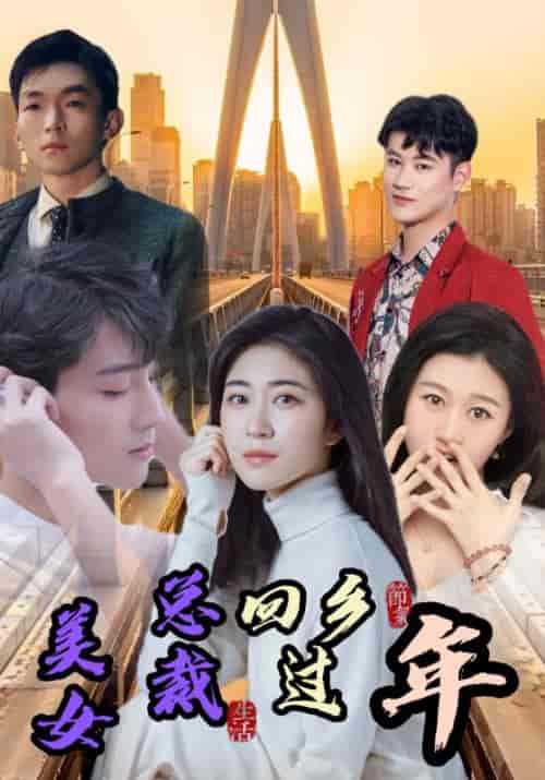 美女总裁回乡过年（97集全）苏雨泽＆林雪晴-初遇资源网